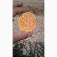 Апельсины из Испании