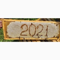 Мед збору 2021р