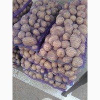 Продам Столовый картофель (картошку) ОПТОМ