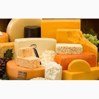 Продам твердый сыр оптом