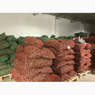АКЦИЯ продам грецкие орехи урожай 2018 года