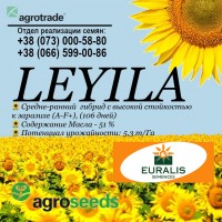 Семена подсолнечника Лейла / Leyila (Euralis), Доставка от 1 мешка