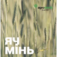 1 Репродукция. Семена. Ячмень (яровой). Производитель, год 2020. Сертификаты