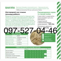 1 Репродукция. Семена. Ячмень (яровой). Производитель, год 2020. Сертификаты