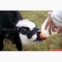 Заменитель цельного молока сухое молоко для телят поросят козлят