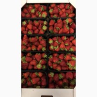 Закупка ягоди ( суниця садова, малина, лохина, смородина, порічка, агруз і т.д)