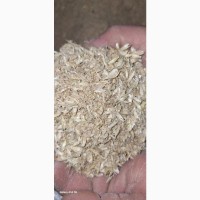 Продам відходи пшеничні, житні