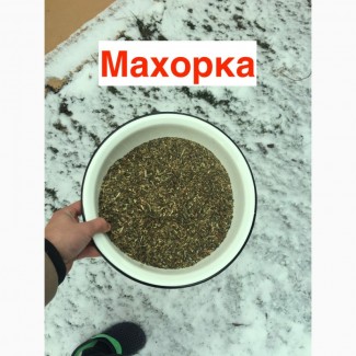 Самосад, махорка, ароматна, без пилу