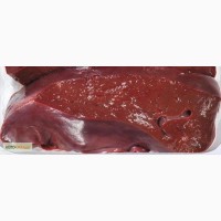 Продам говядину и субпродукты (замороженные)