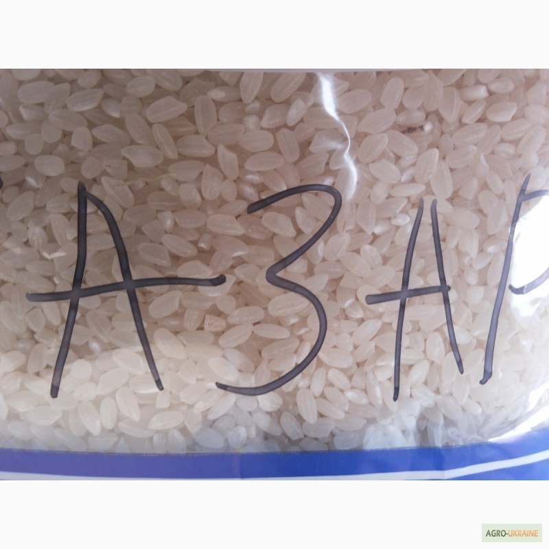 Фото 5. Продам круглозернистий рис Хазар Осман Україна в пакетах по 1 кг а 25 кг