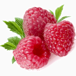 Концентрат ягод малины пищевой порошкообразный