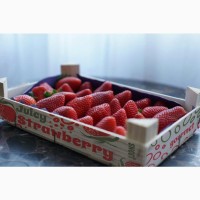 Ящики под ягоды и фрукты