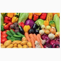 Продаж овочів та фруктів