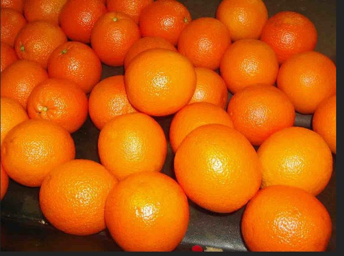 Фото 3. Апельсин Оптом Грузия