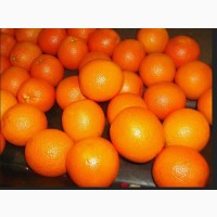Апельсин Оптом Грузия