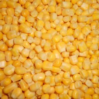 Кукурудза заморожена в зернах і початках. Кукурудза Шайба, Міні заморожена