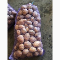 Продам товарну картоплю (запакована протягом 5 днів)