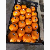 Качественный апельсин