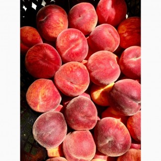 Продаж персиків