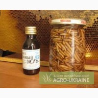 Продам воск пчелиный, настойки на восковой моли, поморе пчёл, мёд разнотравье 2013 г