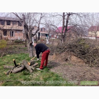 Обрезка плодовых деревьев Киев.Удаление, спил растительности