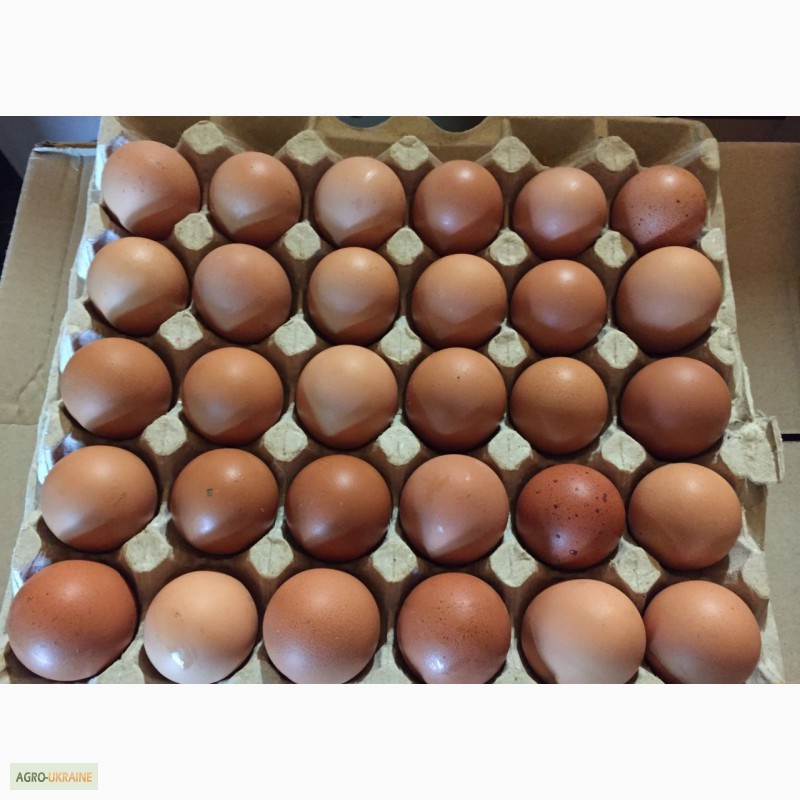 Яйца с0 или с2. Яйца категория с2 лоток 30шт. Яйца с0 с1 с2. Категории яиц с1 с2. Яйцо домашнее куриное.