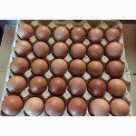 Продажа куриного яйца. Куриное яйцо категории С0 С1 С2. Без ГМО