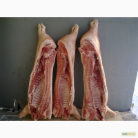На постоянной основе реализируем свинные полутуши охлажденные мясных пород свиней