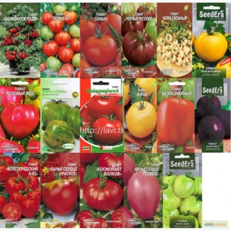 Семена овощей: Томаты (помидоры). Хорошие и необычные сорта