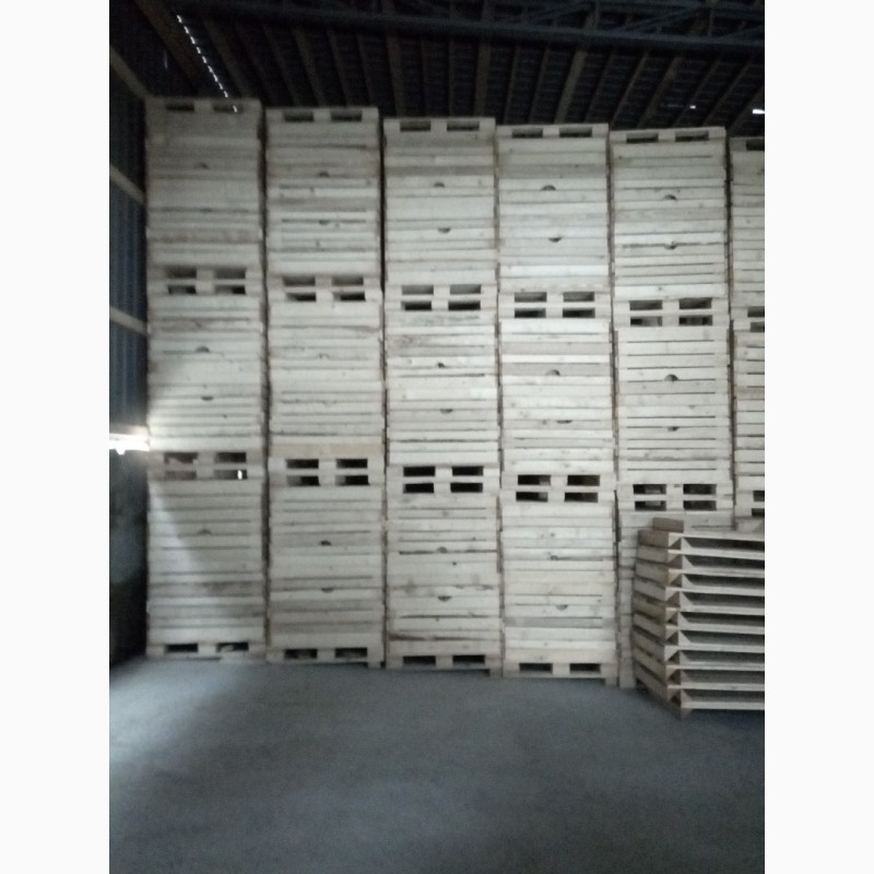 Продам контейнери, ящики деревяні для зберігання яблук