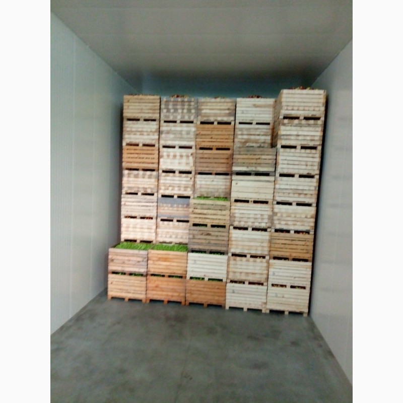 Фото 4. Продам контейнери, ящики деревяні для зберігання яблук