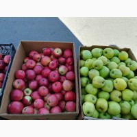 Продам яблоки зимних сортов. Из сада, урожай 2018 г