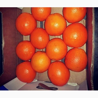 Апельсины Испания продам