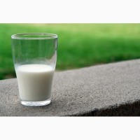 Молоко Козье