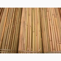 Бамбуковые опоры (бамбук для сада) ОПТОМ