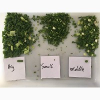 Овочерізка STvega Belt cutter Mini шатківниця, нарізка зелені, кропу, цибулі