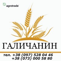 Элита и 1 репродукция. Семена. Ячмень. Яровой. Производитель. Урожай 2020. Документы