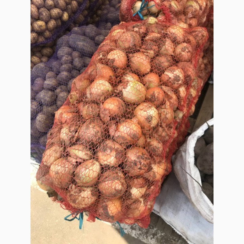 Фото 8. Продажа овощей под клиента с оптового рынка в Великие Копани