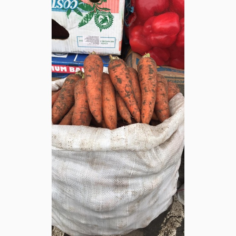 Фото 2. Продажа овощей под клиента с оптового рынка в Великие Копани
