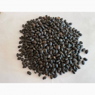 Квасоля чорна органічна, black beans, фасоль черная