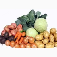 Куплю овочі - картоплю, моркву, буряк, цибулю
