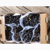 Продаж фермерського господарства з вирощування винограду