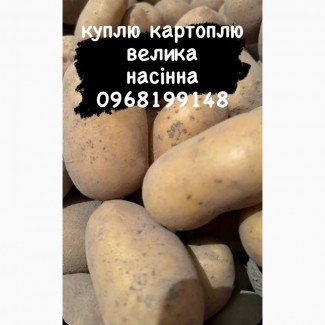 Куплю картоплю