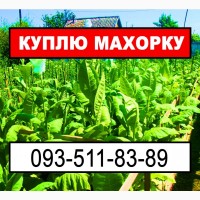 Вигідно куплю махорку