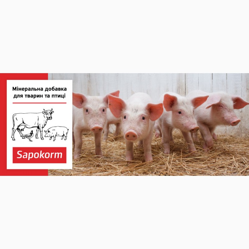 Фото 2. Сапокорм - мінеральна добавка для відгодівлі свиней, 25 кг