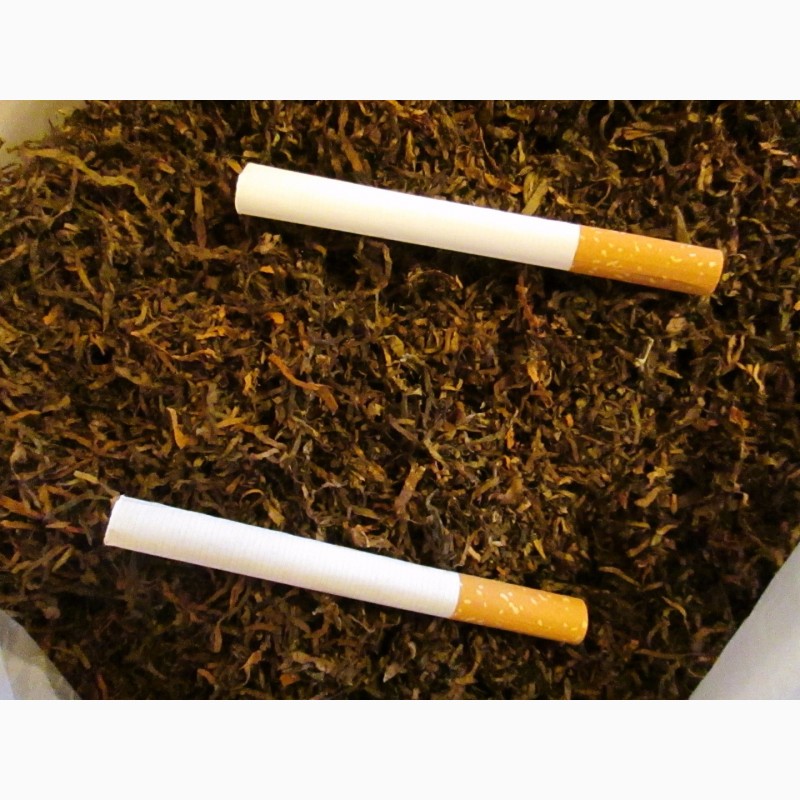Табак для забивки в гильзы, самокруток и трубки, ферментированный лапша.СЕМЕНА -20грн
