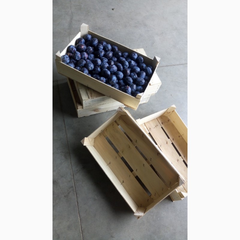 Фото 2. Ящик под грибы ягоды черешню сливу виноград