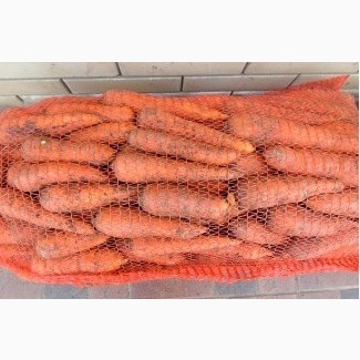 Продам морковь сорт абако калибр средний в хорошем качестве