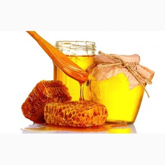 Компанія ГОЛД ХАНІ закуповує мед