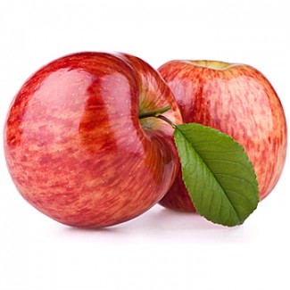 Підприємство закуповує яблука на переробку от 20т